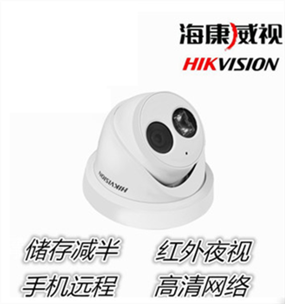 图片 海康威视 DS-2345F-IS (海康威视（HIKVISION） DS-2345F-IS 日夜型半球型网络摄像机)