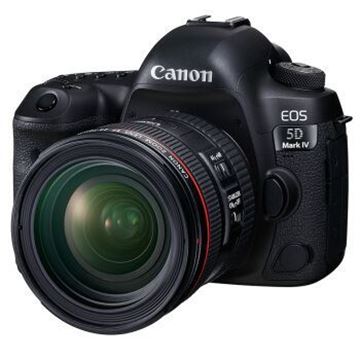 图片 佳能/Canon  单反相机 EOS 5D Mark IV 配单反镜头 EF 24-70 mm F/4L IS USM 机身配单反镜头 套机